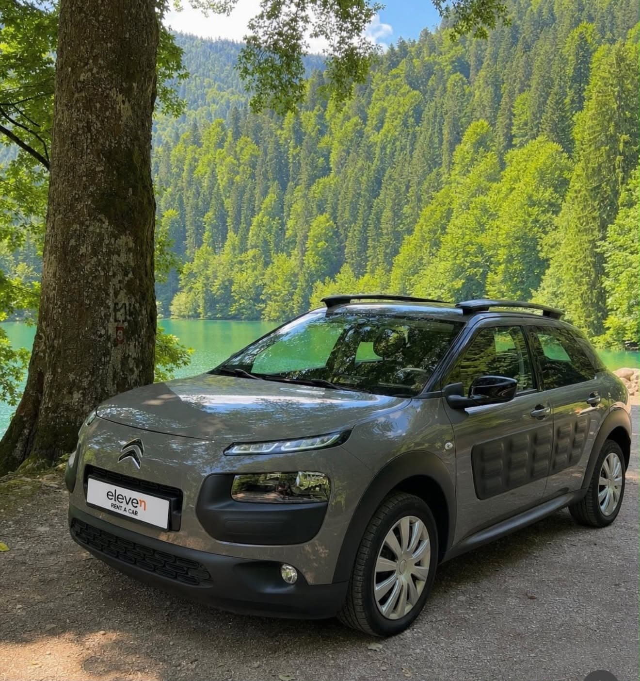 Citroen Cactus